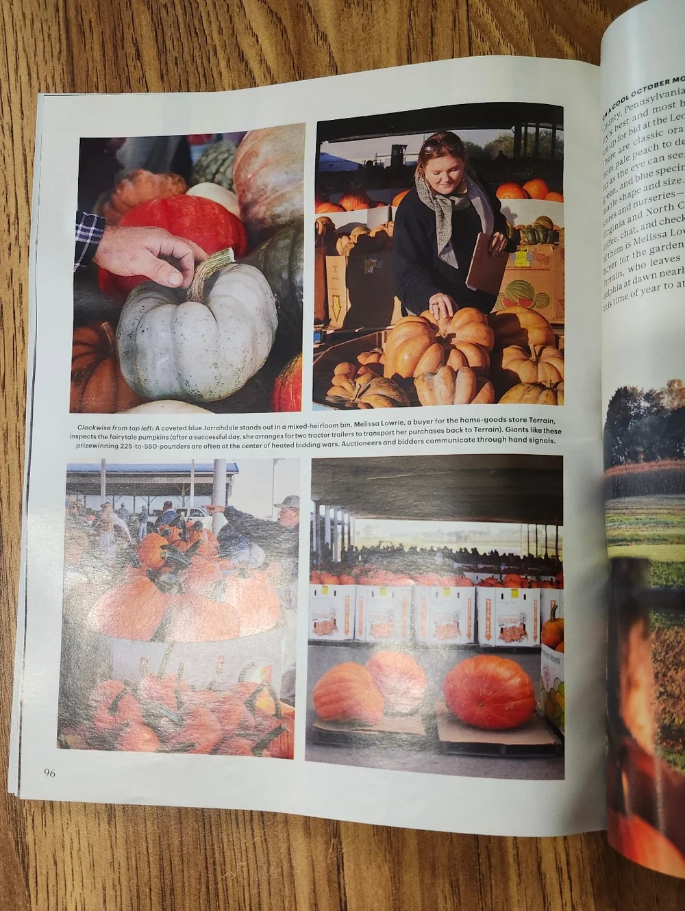 Martha Stewart Living Magazine Oct 2018 Fall Aglow Halloween Ideas Recipe Cards - Picture 15 of 15